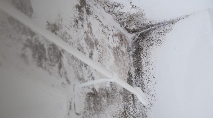 Why choose water damage restoration service for emergency water extraction services in Hemet